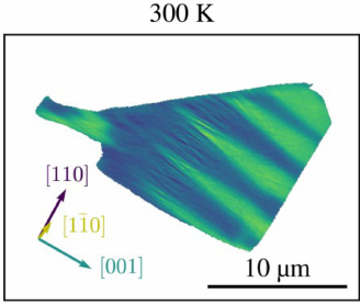 Published signed-strain map at 300 K; figure 2(a).
